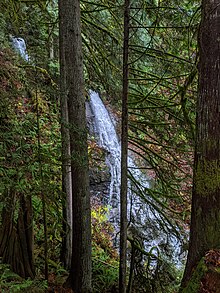 Rufus Creek Falls in Lookout Mountain Preserve, which is within Sudden Valley.  Rufus Creek is a tributary to Beaver Creek, which flows to Lake Whatcom.