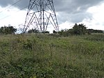 Ryhall Pasture and Little Warren Verges