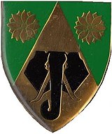 SADF дәуіріндегі Commando Van Rynsdorp emblem.jpg