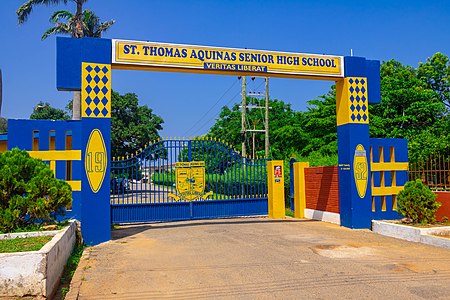 Saint Thomas Aquinas SHS 01