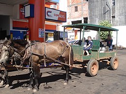 Menonitas en Paraguay Wikipedia la enciclopedia libre