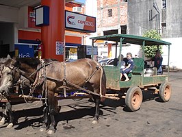 Mennonietenkinderen in Paraguay