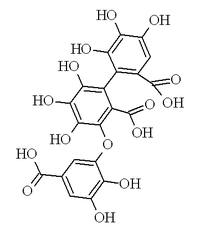 Imagine ilustrativă a articolului Acid sanguisorbic