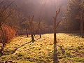 Morgenstimmung in der Eifel seit 08.04.2006