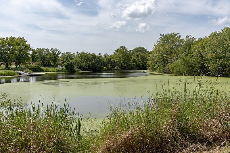 File:Scioto Grove - Hickory Picnic Area Pond 2.jpg