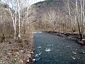 Thumbnail for Seneca Creek (North Fork South Branch Potomac River tributary)