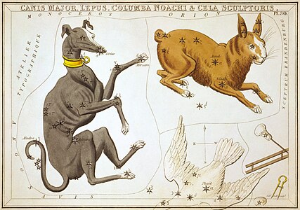 Urania's Mirror 30: Canis Major, Lepus, Columba Noachi & Cela Sculptoris