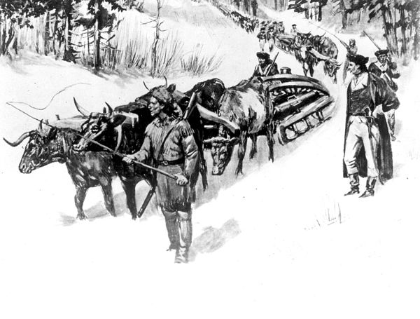 An ox team hauls cannon toward Boston as part of the 1775-76 "Noble train of artillery"