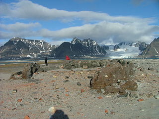 <span class="mw-page-title-main">Archaeology of Svalbard</span>