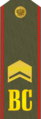 Погон старшини Сухопутних військ ЗС РФ (1994−2010)