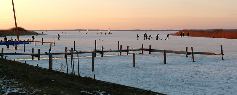 File:Steinhuder Meer Ostufer Winter.jpg