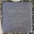 image=https://commons.wikimedia.org/wiki/File:Stolperstein_Kronprinzendamm_11_(Halsee)_Rachel_Kron.jpg