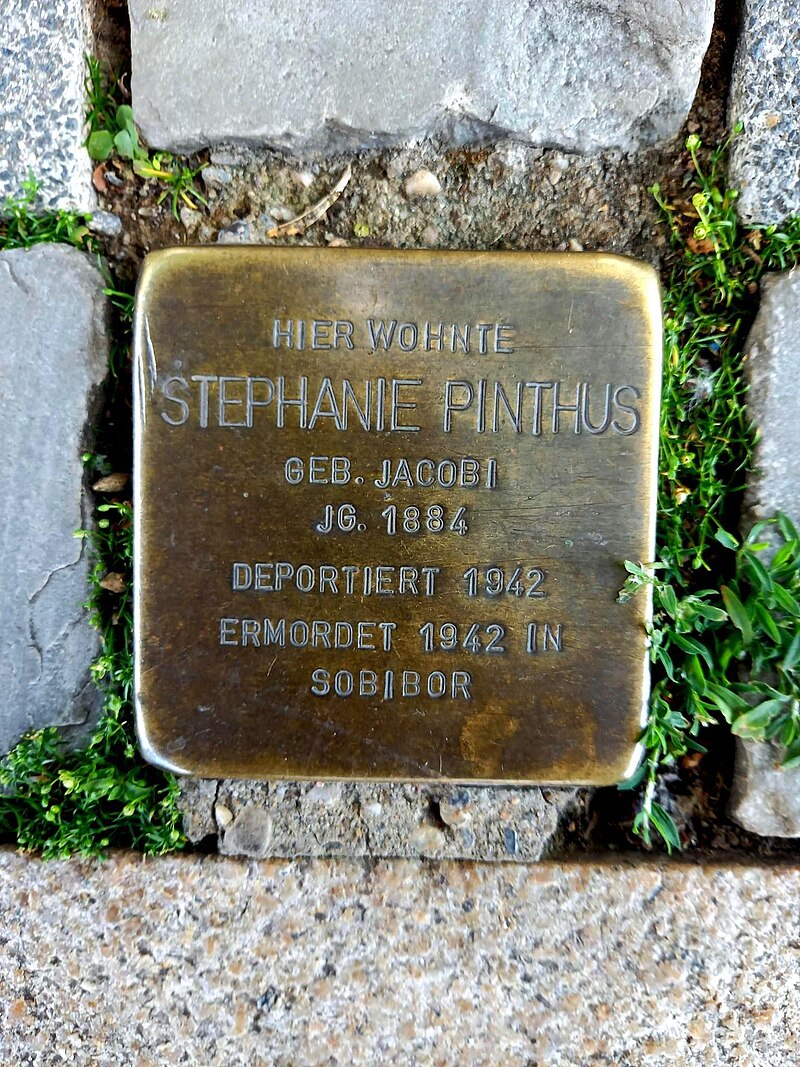 Stolperstein der Nordhäuserin Stephanie Pinthus. Sie wurde von Nationalsozialisten deportiert und in Sobibor ermordet.
