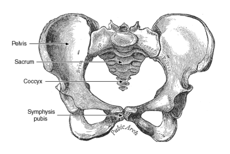 Symphysis pubis dysfunction