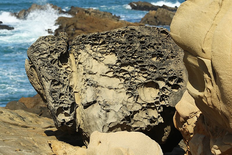 File:Tafone at Salt Point State Park, Sonoma.jpg