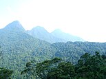 Tam Dao mountain range.jpg