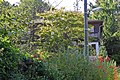 So-called.  Negro villa (director of the forest garden from 1905) with park at the forest botanical garden