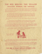 poster of the New York State Association Opposed to Woman Suffrage