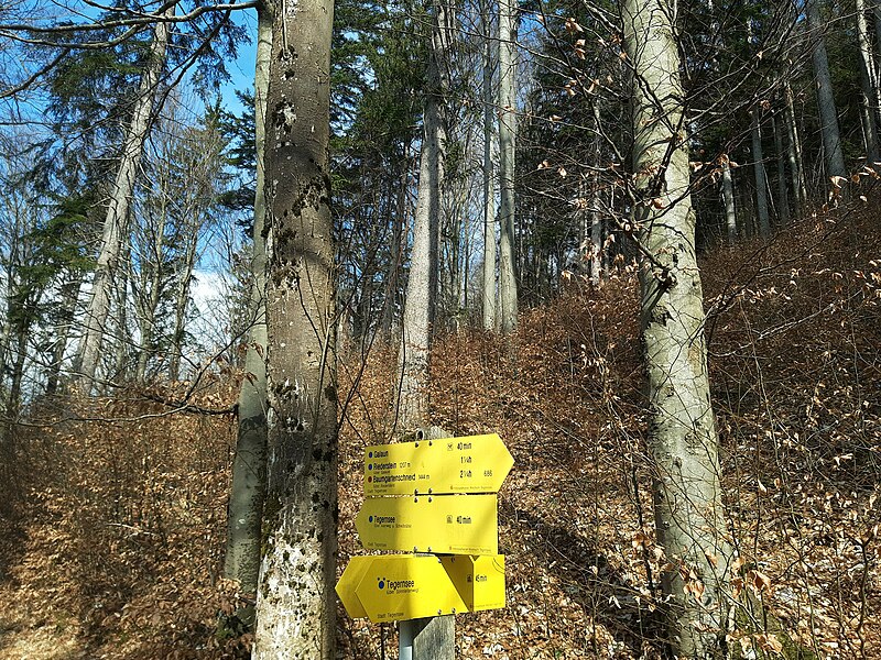 File:Trail signs, Tegernsee.jpg