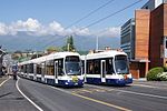 Miniatuur voor Tram van Genève