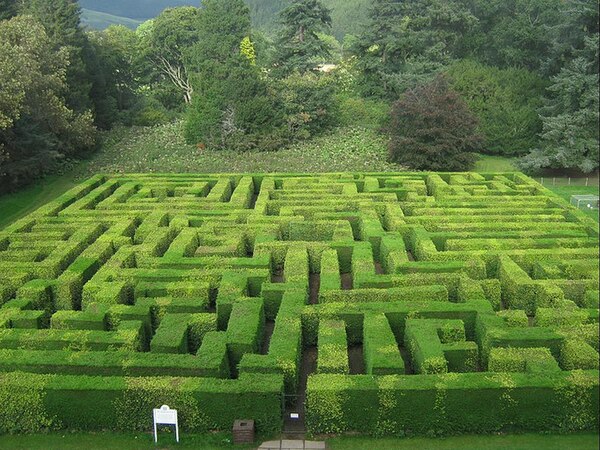 The maze at Traquair
