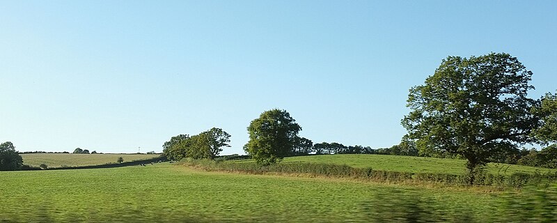 File:Trees along field boundary near Pink Wood - geograph.org.uk - 4769805.jpg