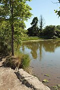 Tresemple Pond - geograph.org.uk - 5205475.jpg