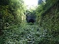 Tunnel de Bellocq tête nord en 2015 (1).jpg
