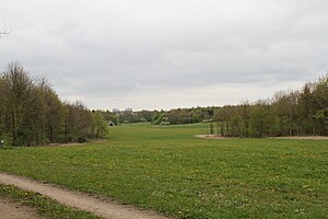 Tusindårsskoven: Skov mellem bydelene Bolbro og Sanderum i Odense