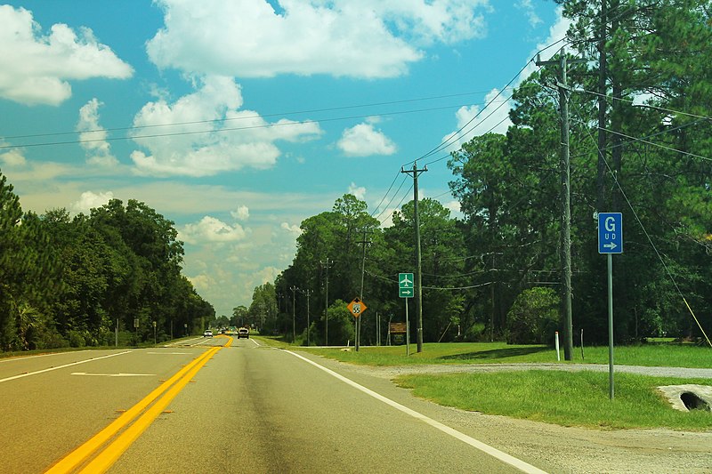 File:US90eRoad-BlueGUDsign-LiveOak (28917587390).jpg