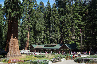 Visitor Center