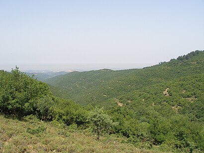 איך מגיעים באמצעות תחבורה ציבורית  למועצה אזורית גליל עליון? - מידע על המקום