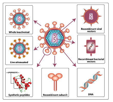 A ton of exciting developments in the search for an HIV VACCINE