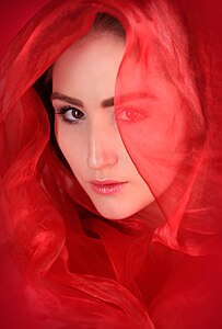 Veiled in Red