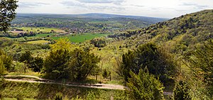 Brockham Limeworks View of Brockham Lime Works, Box Hill.jpg