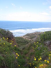 View on one of the trails at Torrey Pines State Reserve