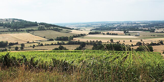 Vignes de Viserny, vallée de l'Armançon et mont de Cra à 434 m.