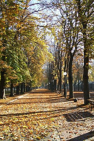 Vitoria - Paseo Fray Francisco.JPG