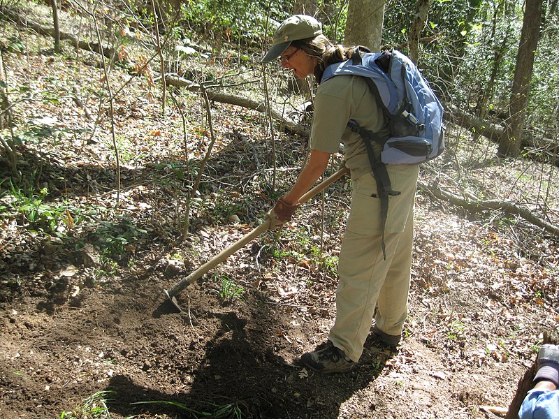 File:Volunteer Vacationers (6938741108).jpg