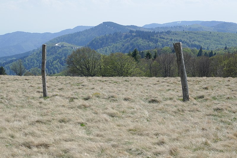 File:Vue vers la Tête du chat sauvage (2).jpg