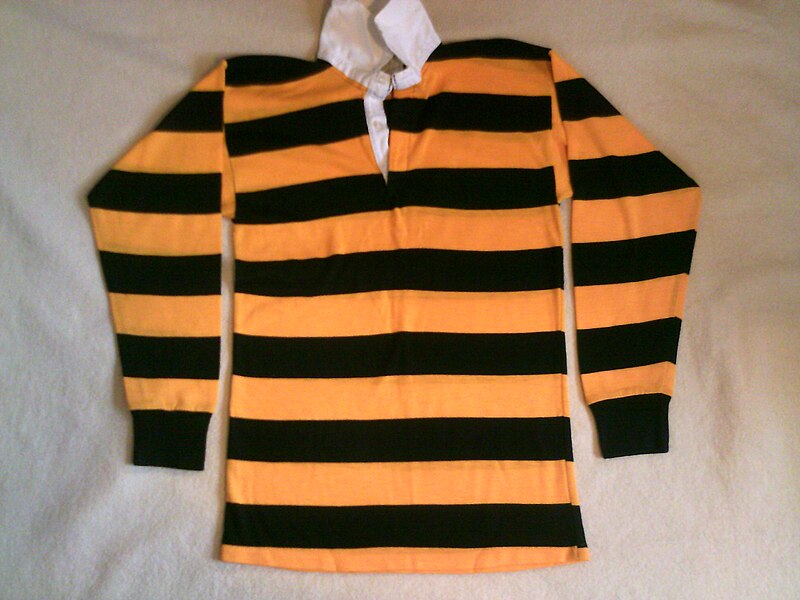 File:WCGSRuskinRugbyTop.JPG