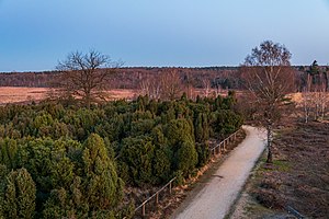 Naturschutzgebiet Elmpter Schwalmbruch