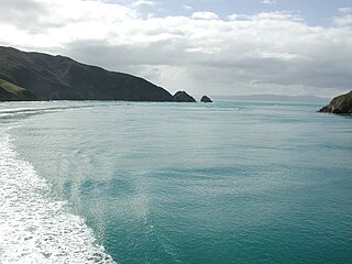 <span class="mw-page-title-main">Tory Channel</span> Channel in New Zealand