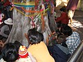 Wat Kham Chanot Bodhi tree.JPG