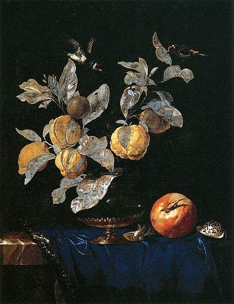 File:Willem van Aelst - Still-Life with Fruit - WGA0044.jpg