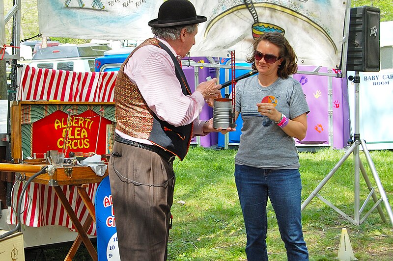 File:Woman helping Dardenell - Alberti Flea Circus, MerleFest 2013.jpg