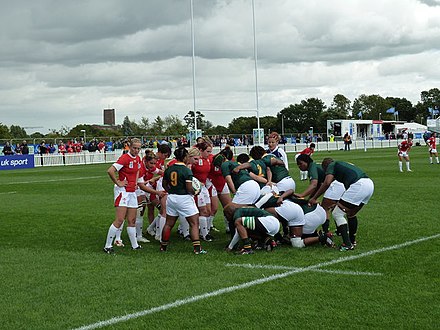 Wales v South Africa match in 2010