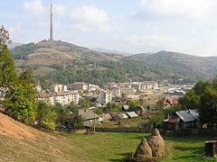 Залатна латкепе.јпг