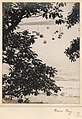 'Rose Bay 2' - RAHS-Osborne Collection c. 1930s (15157298773).jpg
