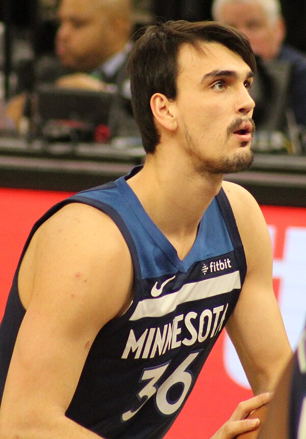 Šarić with the Minnesota Timberwolves in 2019